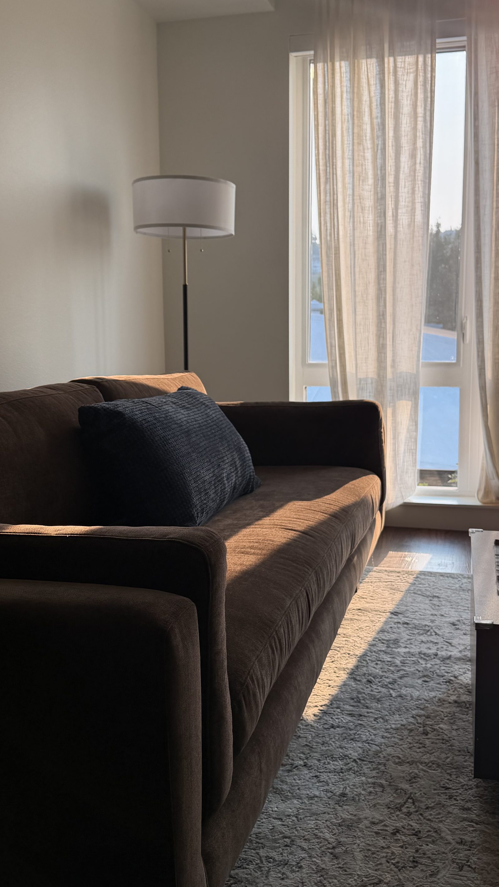 Living room seating area with floor lamp and city view through the window